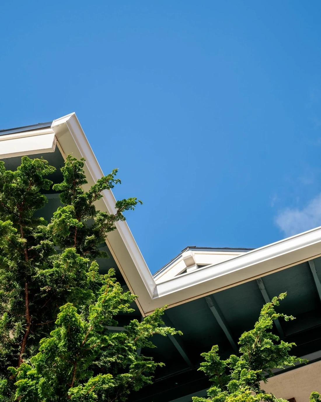 White gutters along a roofline above green trees