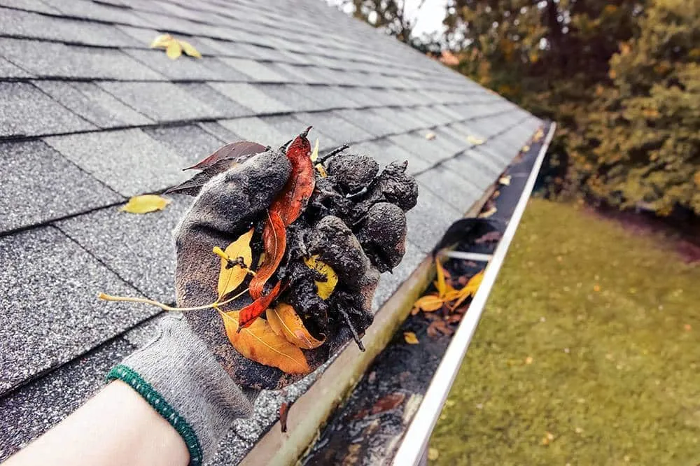 Professional gutter cleaning service