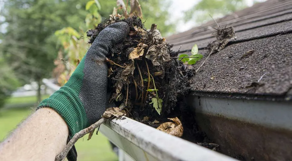 Clean gutters and downspout after service